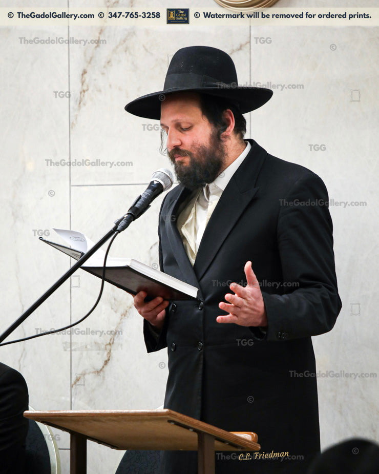 Rav Beryl Soloveitchik -6- רב בערל סאלאווייציק