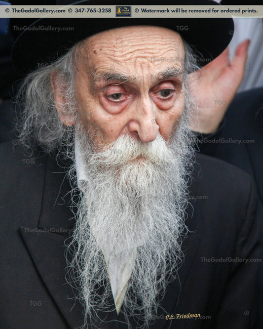 Rav Dovid Soloveitchik -1- רב דוד סאלאווייציק
