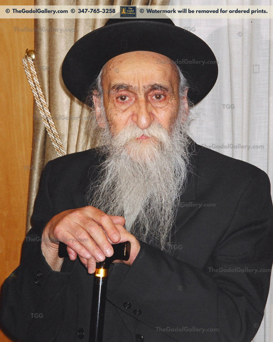 Rav Dovid Soloveitchik -2- רב דוד סאלאווייציק