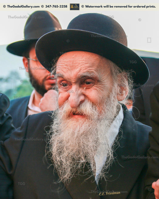 Rav Dovid Soloveitchik -3- רב דוד סאלאווייציק