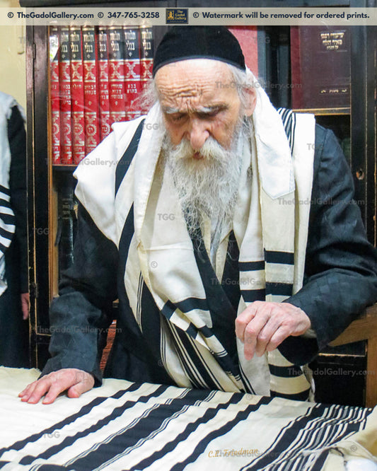 Rav Dovid Soloveitchik -4- רב דוד סאלאווייציק