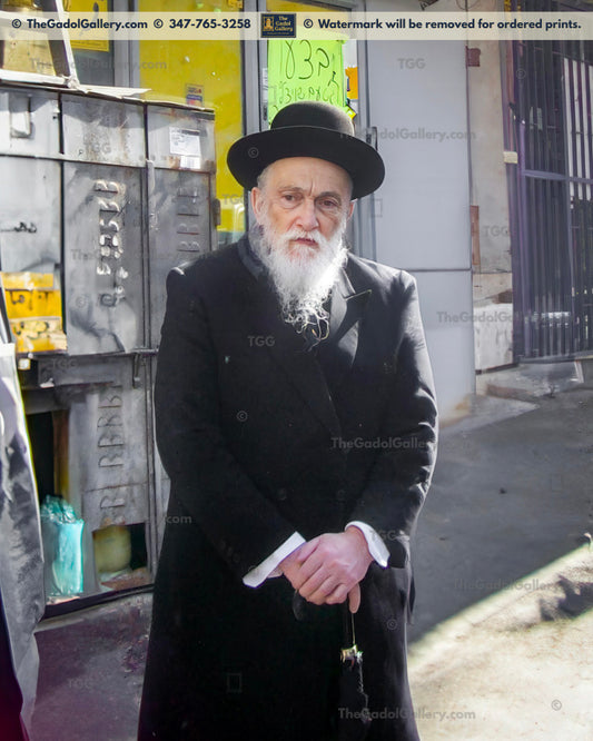 Rav Meir Soloveitchik 1