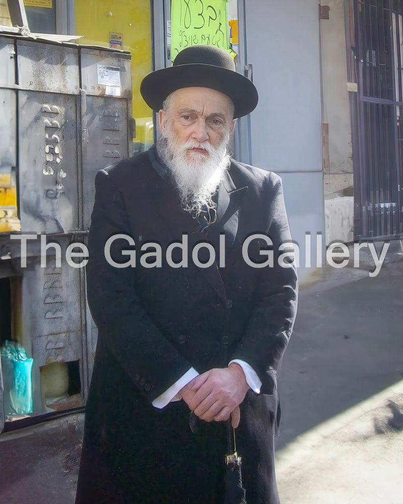 Rav Meir Soloveitchik 2
