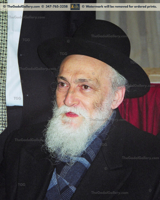 Rav Meir Soloveitchik 1F - רב מאיר סאלאווייציק