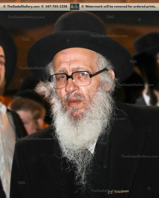 Rav Moishele Soloveitchik -2- רב משה (משעלע) סאלאווייציק