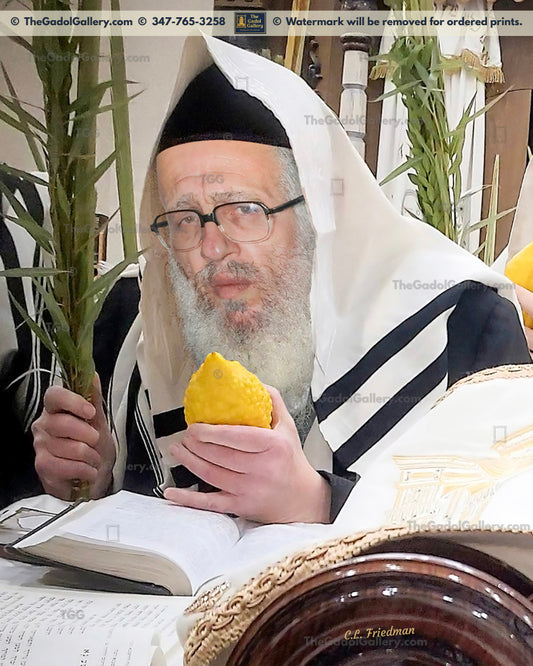 Rav Moishele Soloveitchik -3- רב משה (משעלע) סאלאווייציק