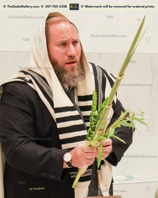 Rav Baruch Sorotzkin Lulav