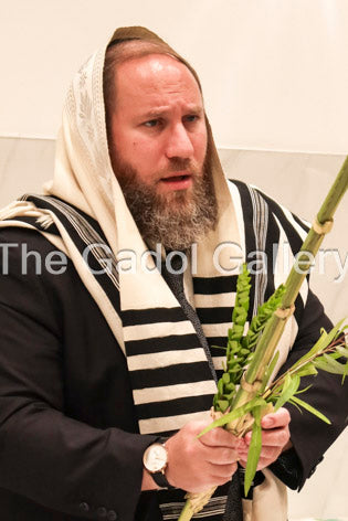 Rav Baruch Sorotzkin Lulav Sukkah Poster