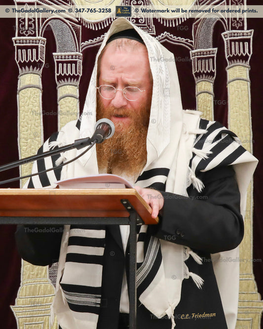 Rav Moshe Sorotzkin