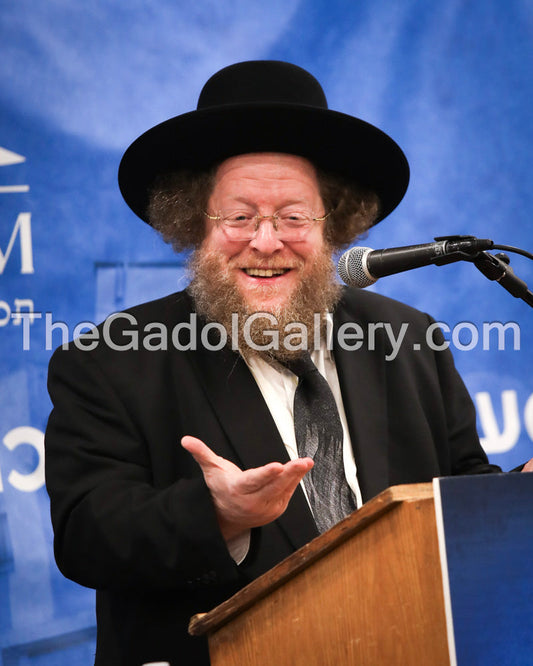 Rav Shalom Ber Sorotzkin -4- רב שלום בער סורוצקין Sukkah Poster