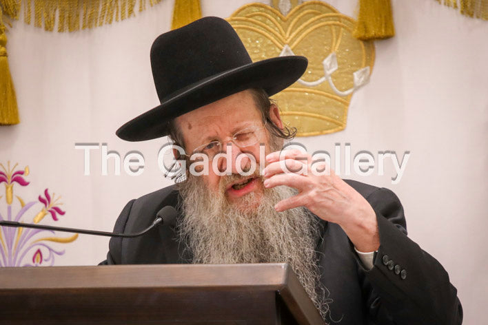 Rav Yitzchok Sorotzkin -1- ×¨×‘ ××‘×¨×”× ×™×¦×—×§ ×¡×•×¨×•×¦×§×™×Ÿ Sukkah Poster
