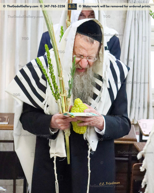 Rav Yitzchok Sorotzkin -2- רב אברהם יצחק סורוצקין