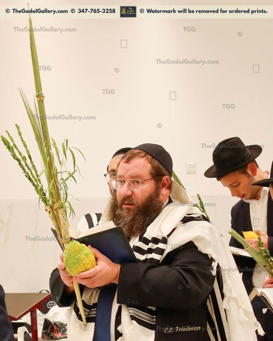 Rav Zalmen Sorotzkin - Lutzker Rov