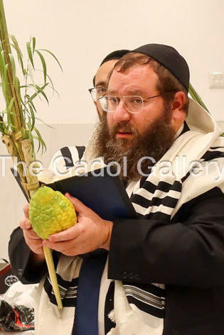 Rav Zalmen Sorotzkin - Lutzker Rov Sukkah Poster
