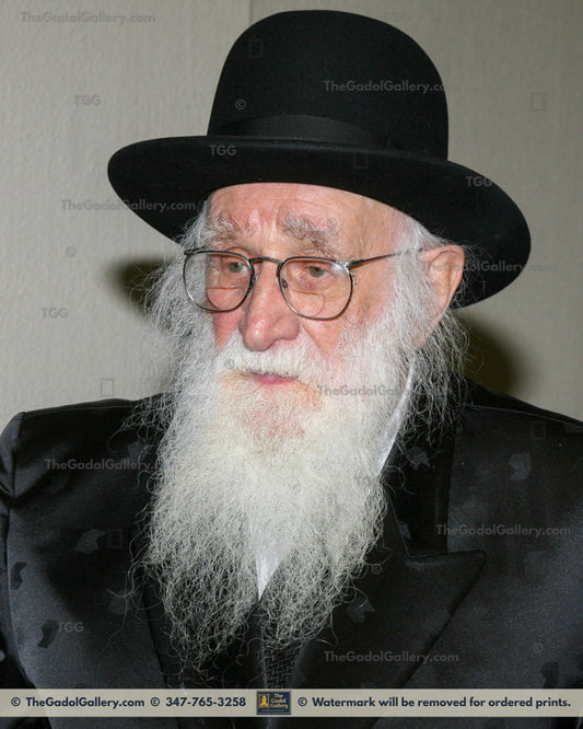 Rav Chaim Stein -3- רב חיים שטיין