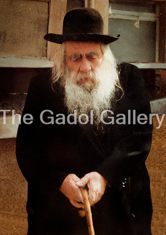 Rav Yaakov Yisrael Kanievsky - The Steipler Gaon - רב יעקב ישראל קניבסקי Sukkah Poster