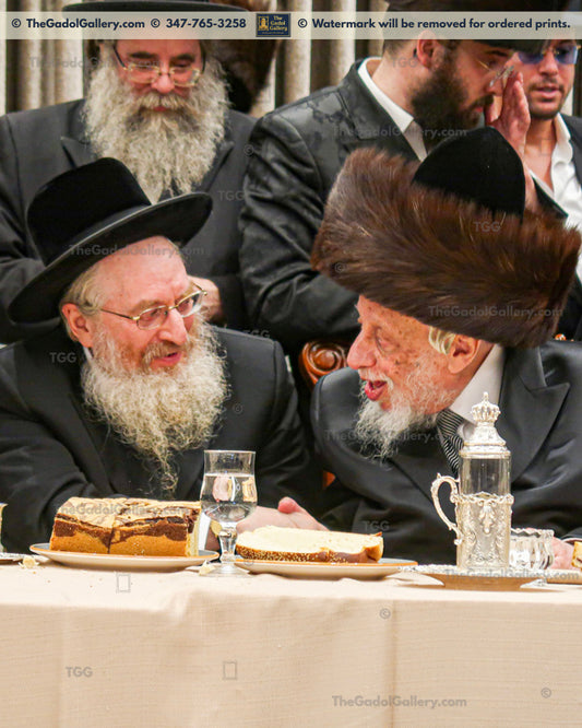 The Kopyczynitzer & Stoliner Rebbe - האדמורי"ם מקופיטשניץ וקרלין-סטולין