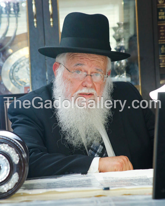 Rav Avrohom Teichman - 1 Sukkah Poster
