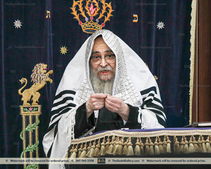 The Satmar Rebbe, Rav Aaron Teitelbaum -1- האדמו"ר מסאטמאר קרית יואל