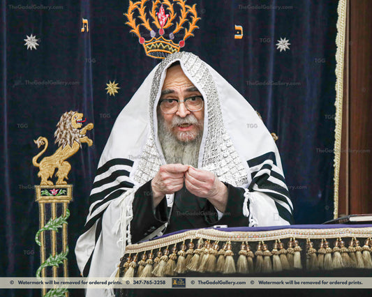 The Satmar Rebbe, Rav Aaron Teitelbaum -1- האדמו"ר מסאטמאר קרית יואל