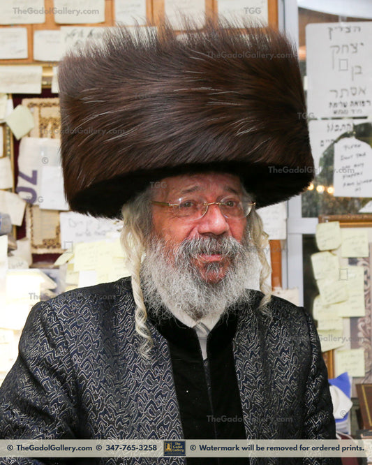 The Nikolsburg Rebbe - Rav Mordechai Zev Jungreis 4