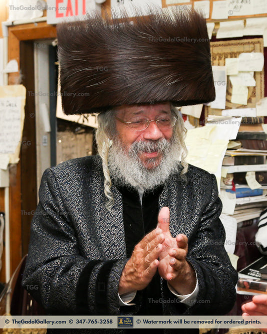 The Nikolsburg Rebbe - Rav Mordechai Zev Jungreis 5
