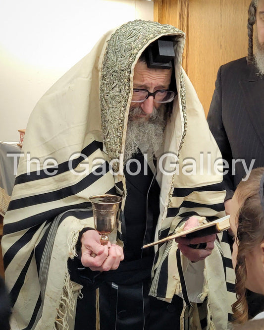 Rav Yeshaya Yaakov Portugal - Skulener Rebbe Boro Park Sukkah Poster
