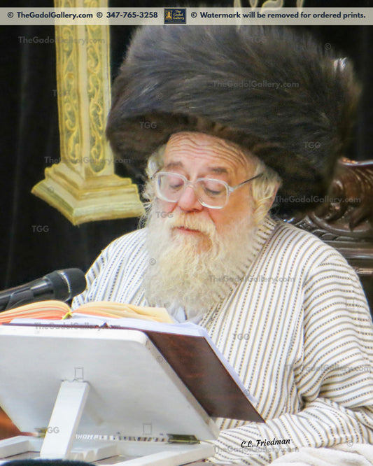 The Toldos Ahron Rebbe -1- האדמו"ר מתולדות אהרן