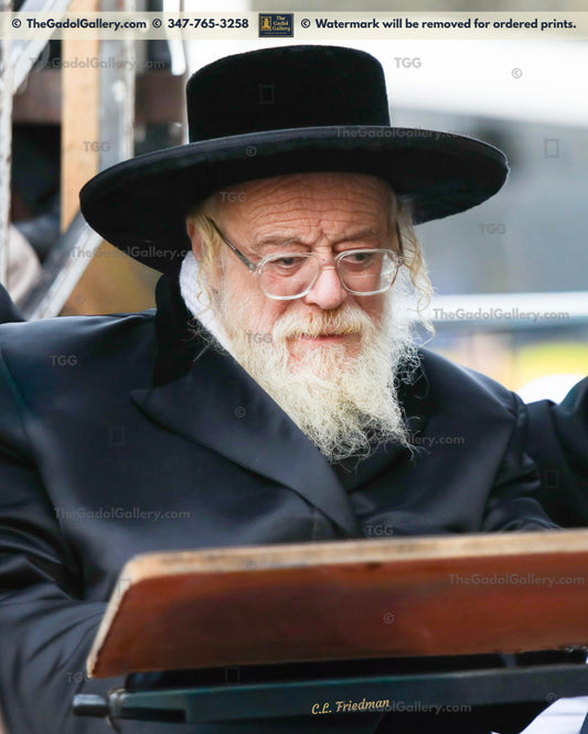 The Toldos Ahron Rebbe -2- האדמו"ר מתולדות אהרן