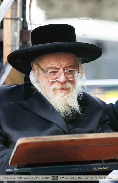 The Toldos Ahron Rebbe -2- האדמו"ר מתולדות אהרן Sukkah Poster