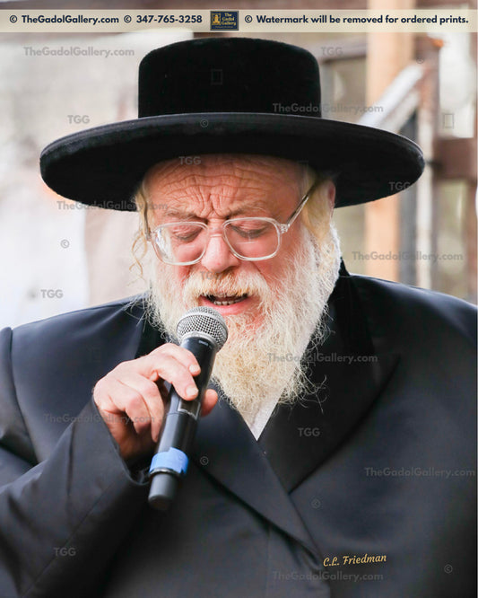The Toldos Ahron Rebbe -3- האדמו"ר מתולדות אהרן