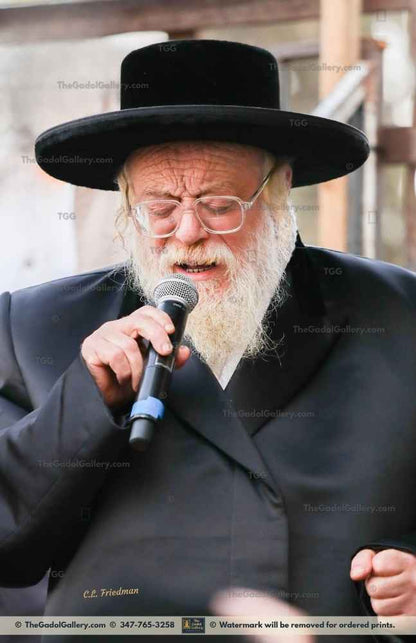 The Toldos Ahron Rebbe -3- האדמו"ר מתולדות אהרן Sukkah Poster