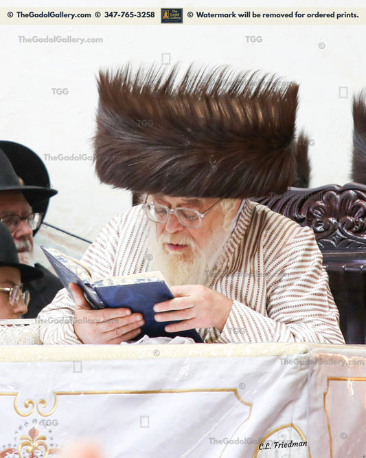 The Toldos Ahron Rebbe -5- האדמו"ר מתולדות אהרן