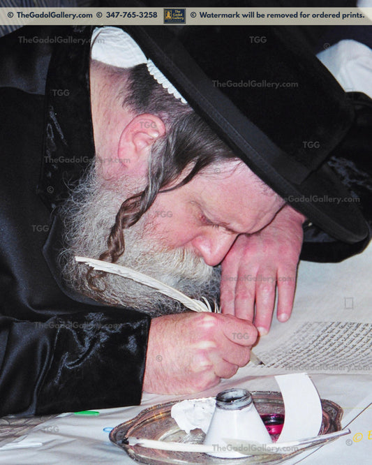 The Toldos Avrohom Yitzchok Rebbe -1F- האדמו"ר מתולדות אברהם יצחק