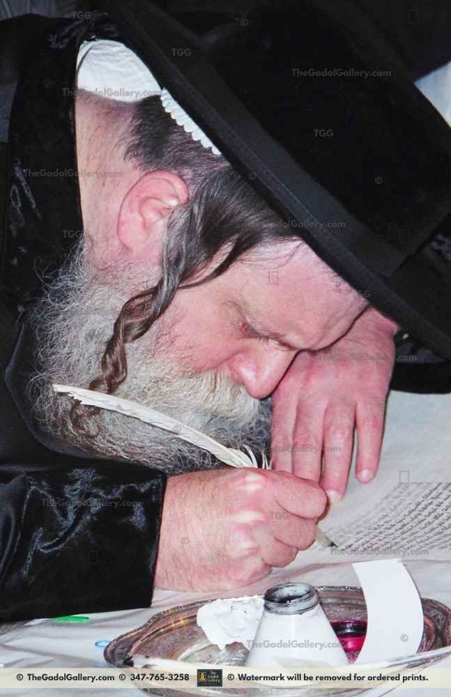 The Toldos Avrohom Yitzchok Rebbe -2- האדמו"ר מתולדות אברהם יצחק Sukkah Poster