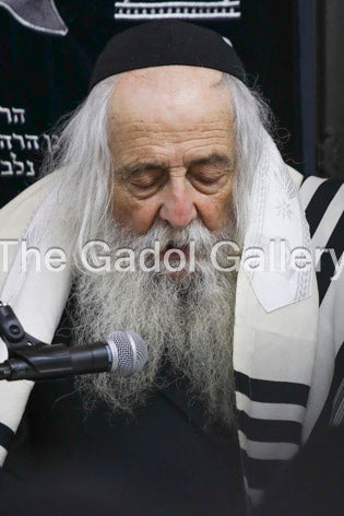 Rav Torchin - 2 Sukkah Poster