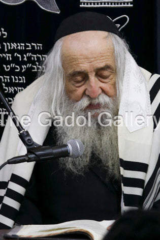 Rav Torchin Sukkah Poster
