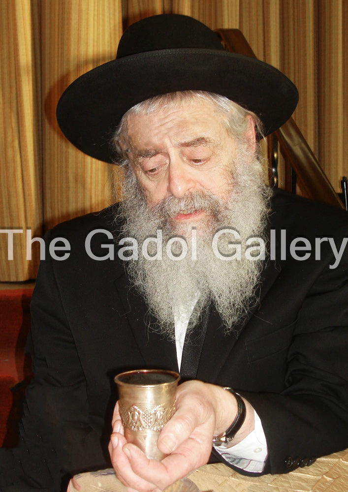 Rav Dovid Trenk