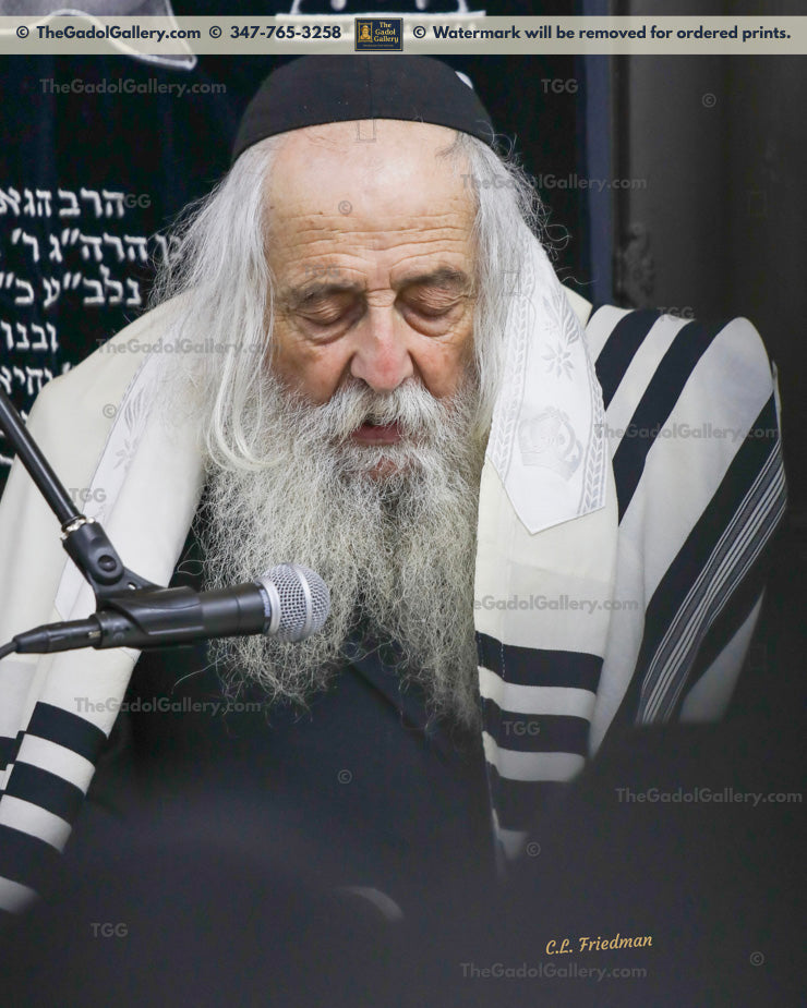 Rav Yehoshua Dovid Turchin 1