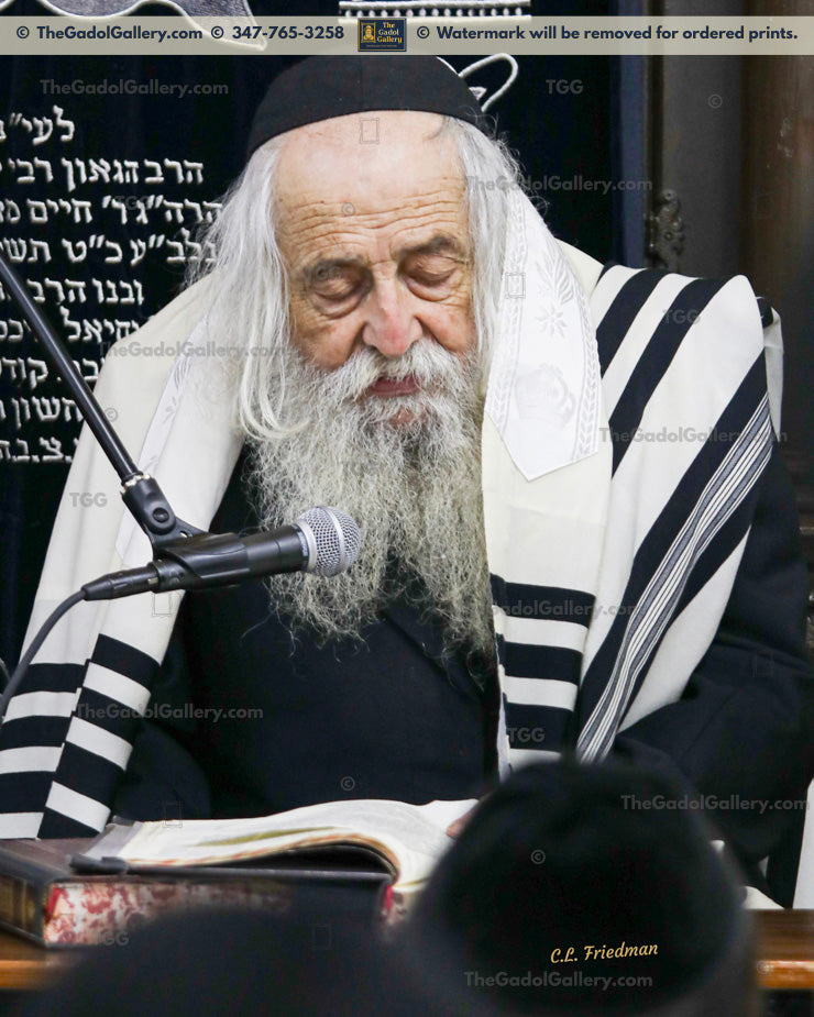 Rav Yehoshua Dovid Turchin 2
