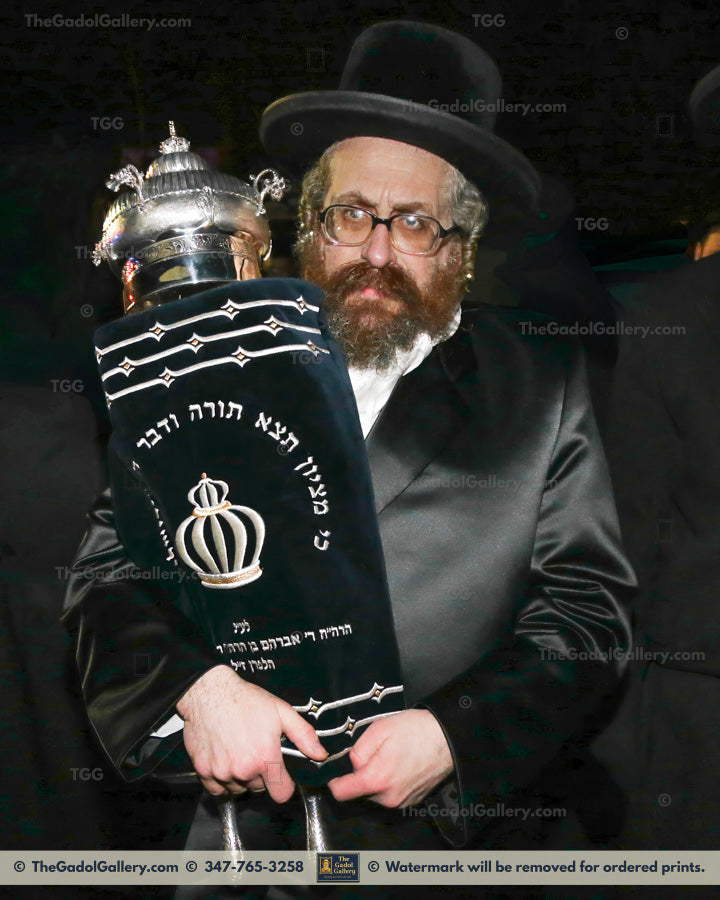 The Rachamstrivka Rebbe (Oak & Vine) -1- האדמו"ר מרחמסטריווקא