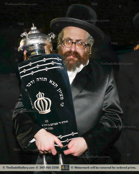 The Rachamstrivka Rebbe (Oak & Vine) -1- האדמו"ר מרחמסטריווקא