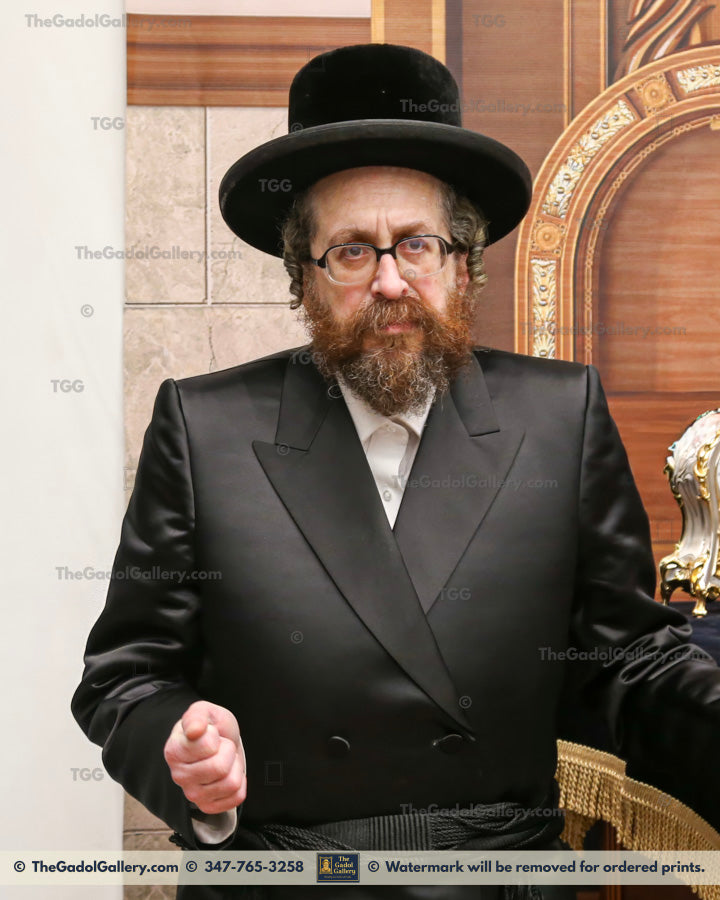 The Rachamstrivka Rebbe (Oak & Vine) -3- האדמו"ר מרחמסטריווקא