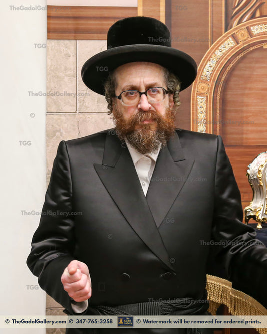 The Rachamstrivka Rebbe (Oak & Vine) -3- האדמו"ר מרחמסטריווקא