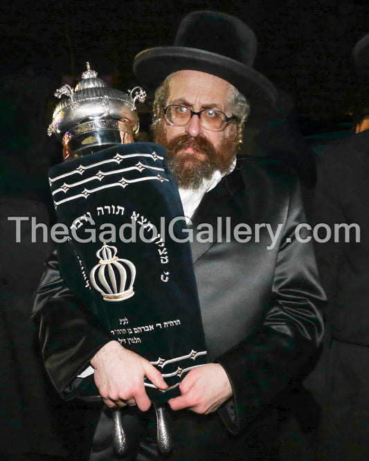 The Rachamstrivka Rebbe (Oak & Vine) -1- האדמו"ר מרחמסטריווקא