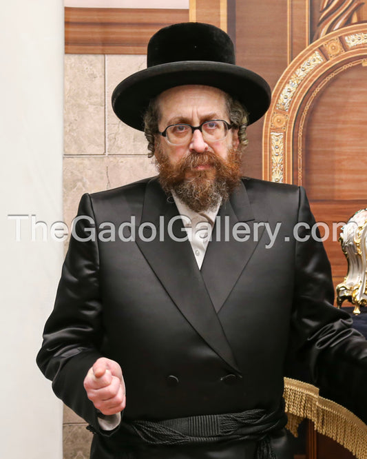 The Rachamstrivka Rebbe (Oak & Vine) -3- האדמו"ר מרחמסטריווקא