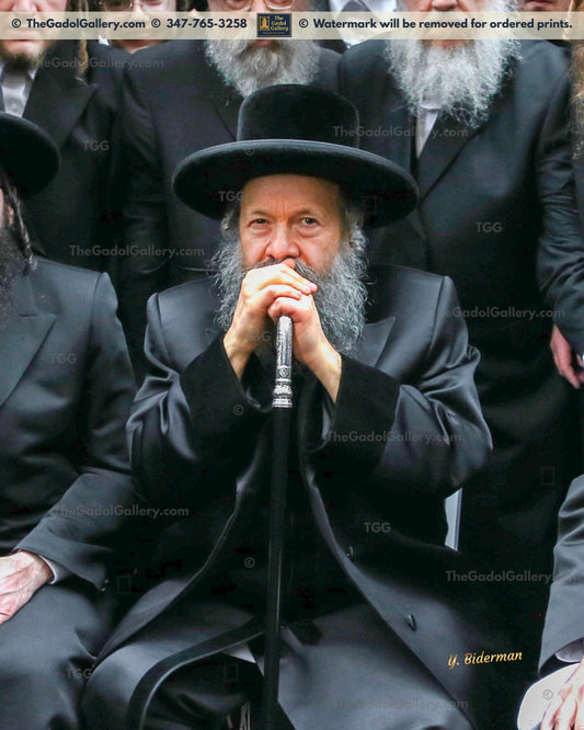 The Bobover Rebbe (45), Rav Mordechai Dovid Unger - 1 - האדמו"ר מבאבוב