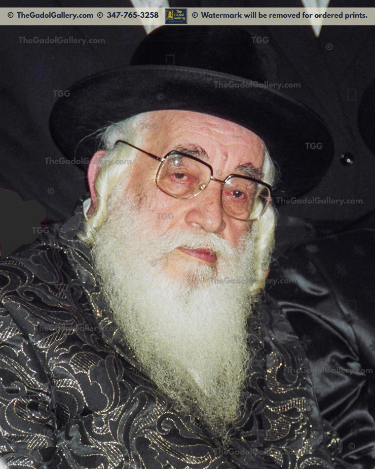 The Vizhnitz Rebbe