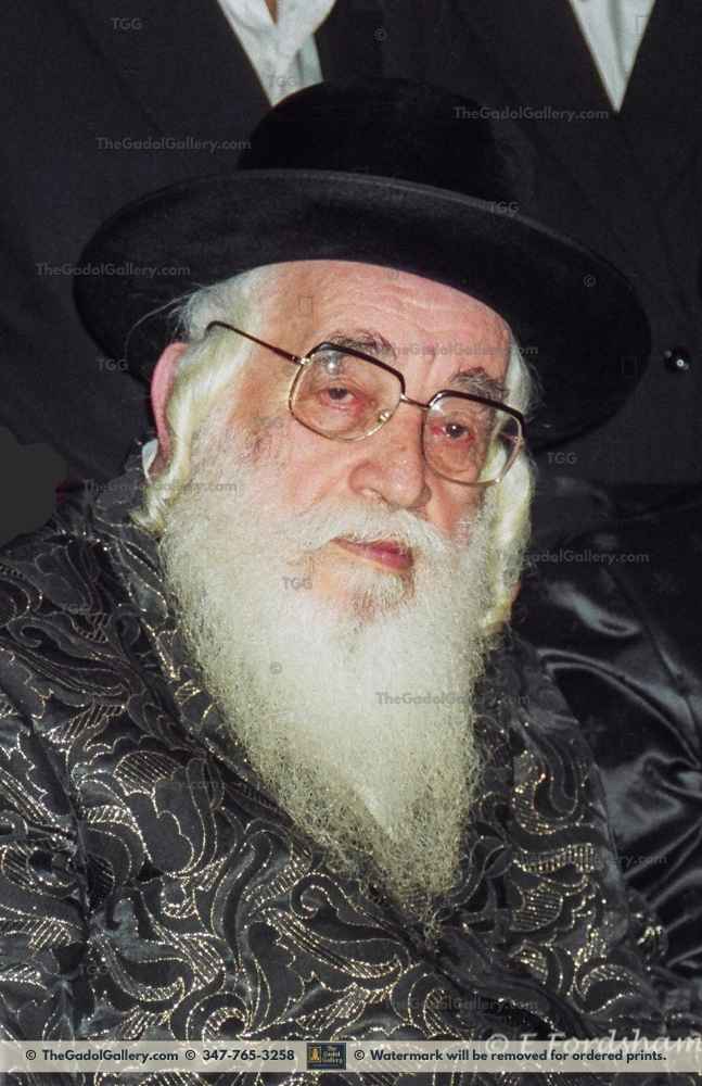 The Vizhnitz Rebbe Sukkah Poster