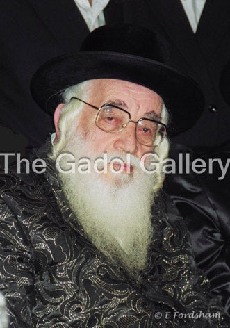 The Vizhnitz Rebbe Sukkah Poster